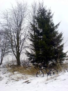 Biking out in the snow