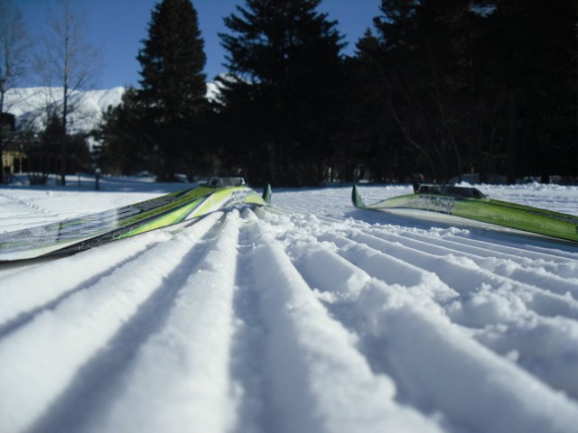 Alltraining.cz na vysokohorském soustředění ve Sv. Mořici ( 10. - 19. 12. 2010)