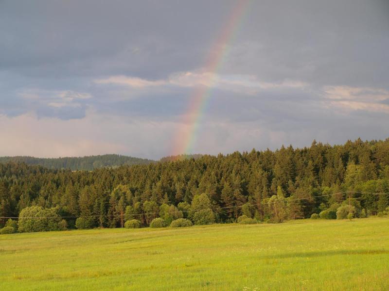  | obrázek 
