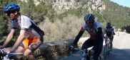 Mallorca Alltraining Specialized test camp for HOBBY 6.3. - 16. 3. 2012