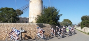 Mallorca Alltraining Specialized test camp for HOBBY 6.3. - 16. 3. 2012