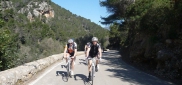 Mallorca Alltraining Specialized test camp for HOBBY 6.3. - 16. 3. 2012