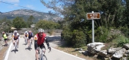 Mallorca Alltraining Specialized test camp for Holidays 10. 4. - 19. 4. 2012