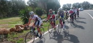 Mallorca Specialized test camp for ACTIVE AMATEURE (2.–12. 2. 2014)