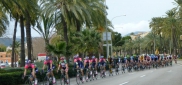 Mallorca Specialized test camp for ACTIVE AMATEURE (2.–12. 2. 2014)