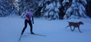 Ski kemp Benecko aneb škola techniky na běžkách  3.-11.1. 2015