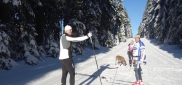 Ski kemp Benecko aneb škola techniky na běžkách  3.-11.1. 2015