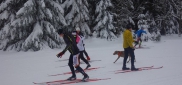 Ski kemp Benecko aneb škola techniky na běžkách  3.-11.1. 2015