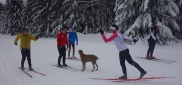 Ski kemp Benecko aneb škola techniky na běžkách  3.-11.1. 2015