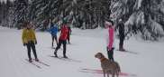 Ski kemp Benecko aneb škola techniky na běžkách  3.-11.1. 2015