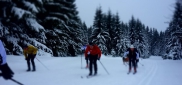 Ski kemp Benecko aneb škola techniky na běžkách  3.-11.1. 2015