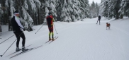 Ski kemp Benecko aneb škola techniky na běžkách  3.-11.1. 2015