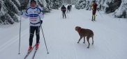 Ski kemp Benecko aneb škola techniky na běžkách  3.-11.1. 2015