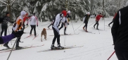 Ski kemp Benecko aneb škola techniky na běžkách  3.-11.1. 2015