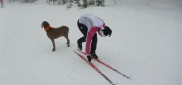 Ski kemp Benecko aneb škola techniky na běžkách  3.-11.1. 2015