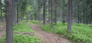 Škola MTB techniky s Alltraining.cz I.-  kemp Churáňov 22. - 24.5. 2015