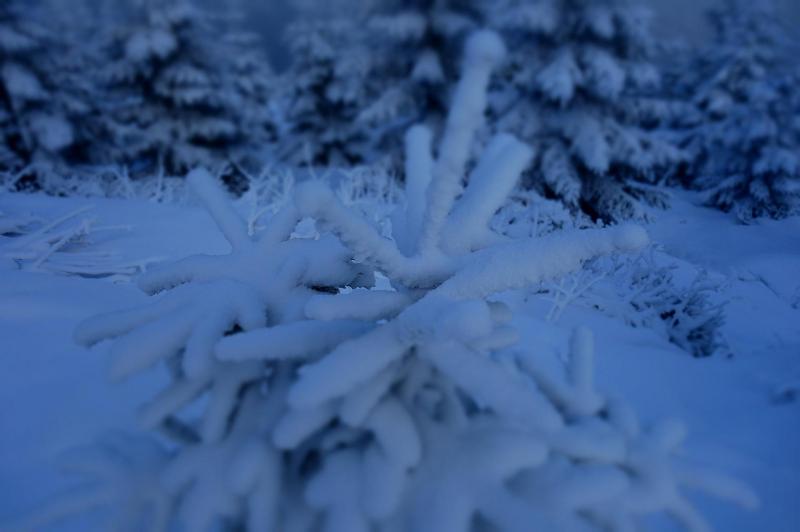 Škola běžkařské techniky (fyzická část) - Krkonoše 2.-6.1.2016