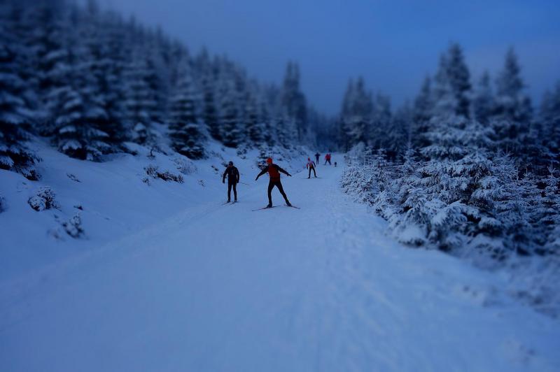 Škola běžkařské techniky (fyzická část) - Krkonoše 2.-6.1.2016
