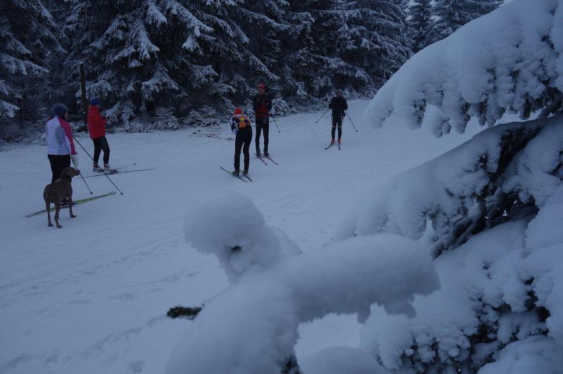 Škola běžkařské techniky (fyzická část) - Krkonoše 2.-6.1.2016