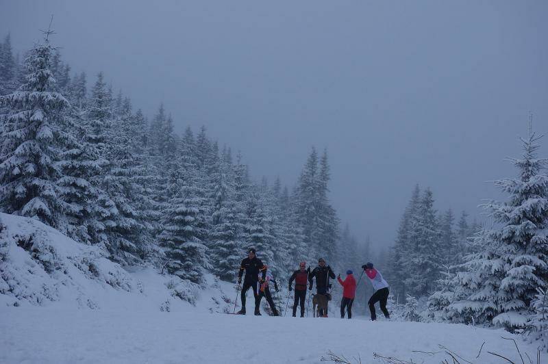 Škola běžkařské techniky (fyzická část) - Krkonoše 2.-6.1.2016