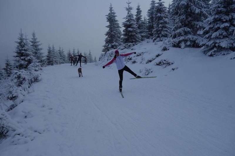 Škola běžkařské techniky (fyzická část) - Krkonoše 2.-6.1.2016
