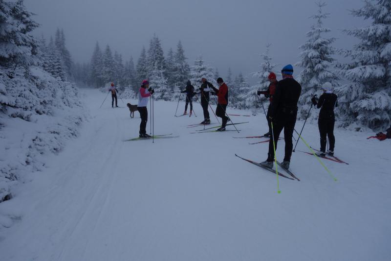 Škola běžkařské techniky (fyzická část) - Krkonoše 2.-6.1.2016