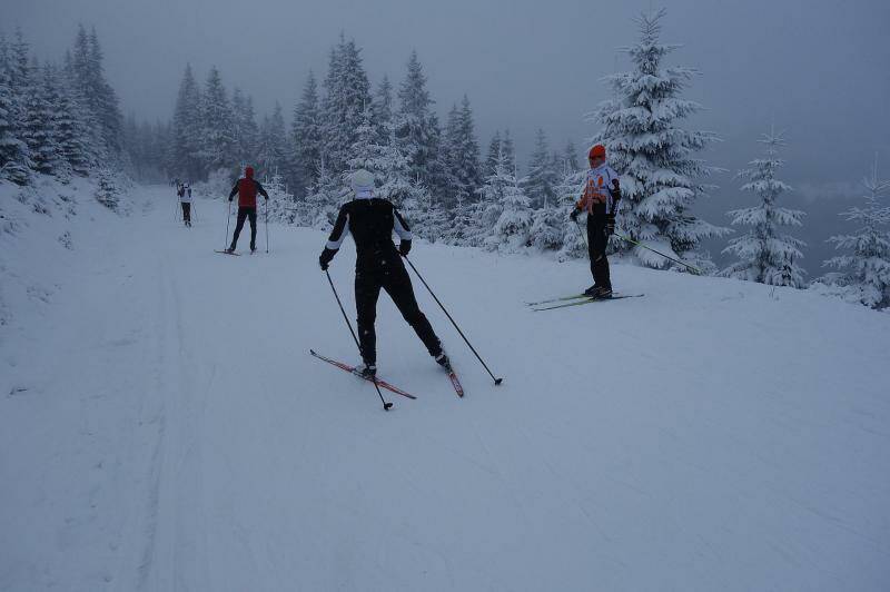 Škola běžkařské techniky (fyzická část) - Krkonoše 2.-6.1.2016
