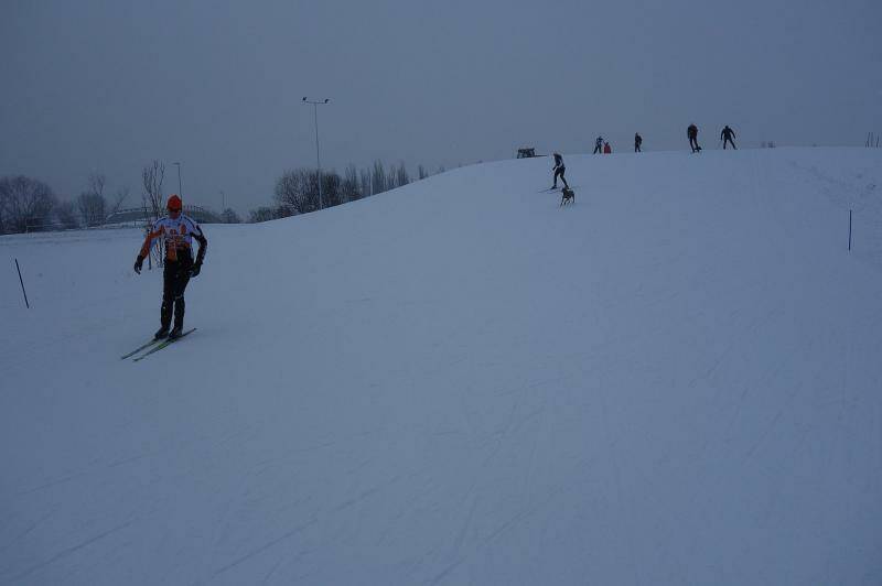 Škola běžkařské techniky (fyzická část) - Krkonoše 2.-6.1.2016
