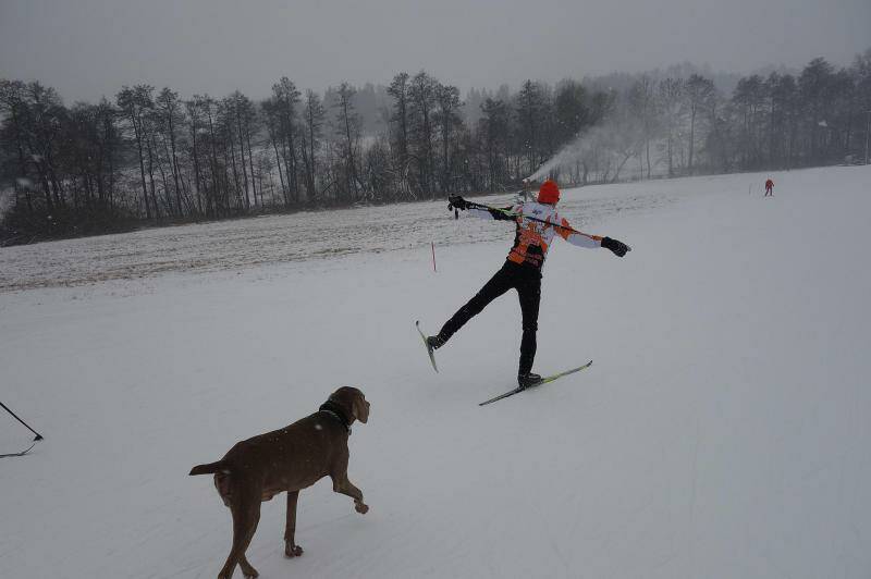 Škola běžkařské techniky (fyzická část) - Krkonoše 2.-6.1.2016