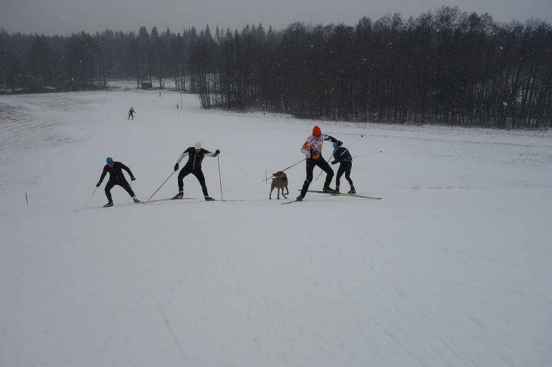 Škola běžkařské techniky (fyzická část) - Krkonoše 2.-6.1.2016
