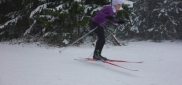 Škola běžkařské techniky (fyzická část) - Krkonoše 7.-10.1.2016