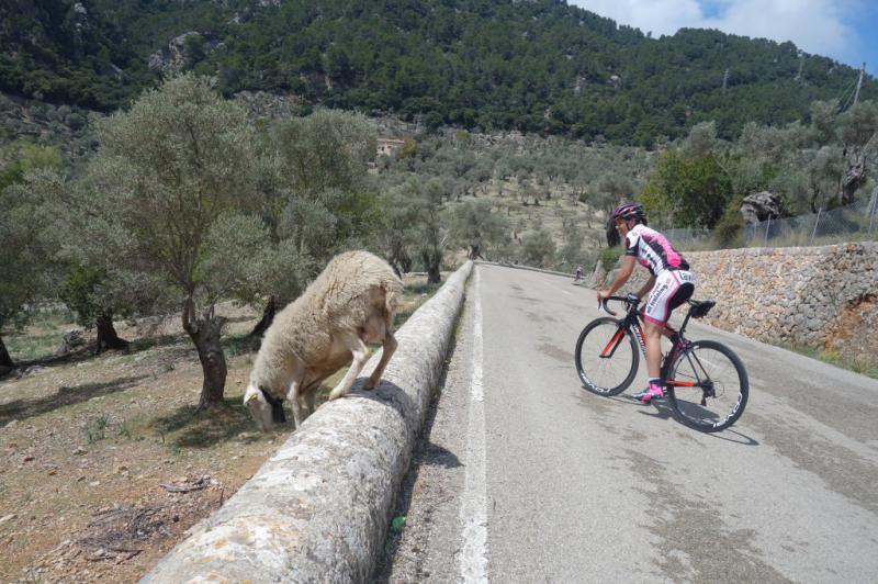 Tréninkový kemp na Mallorce s Alltraining.cz, 17.4.-23.4.2016