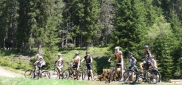 Basic mtb kemp techniky Churáňov, 27.-29.5.2016