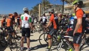 Mallorca classic 17.3 - 26.3. 2017
