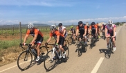 Mallorca classic - senior bike holidays 16. - 23.4. 2017