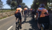 Mallorca classic - senior bike holidays 16. - 23.4. 2017