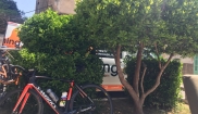 Mallorca classic - senior bike holidays 16. - 23.4. 2017