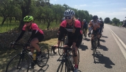 Mallorca classic - senior bike holidays 16. - 23.4. 2017