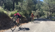 Mallorca classic - senior bike holidays 16. - 23.4. 2017