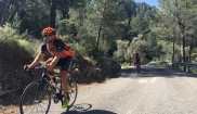 Mallorca classic - senior bike holidays 16. - 23.4. 2017