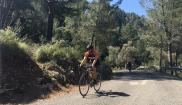 Mallorca classic - senior bike holidays 16. - 23.4. 2017