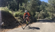 Mallorca classic - senior bike holidays 16. - 23.4. 2017