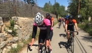 Mallorca classic - senior bike holidays 16. - 23.4. 2017