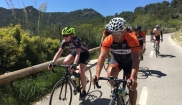 Mallorca classic - senior bike holidays 16. - 23.4. 2017