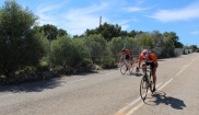 Mallorca Bike Holidays  1.5. - 8.5.2017