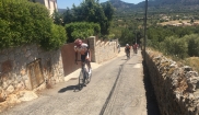 Mallorca Bike Holidays  1.5. - 8.5.2017