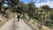 Mallorca - MASTER II. 5.-14.3.2018