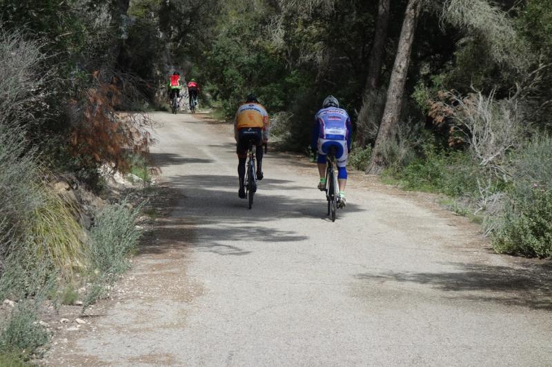 Mallorca - CLASSIC - 15.3. - 25.3. 2018