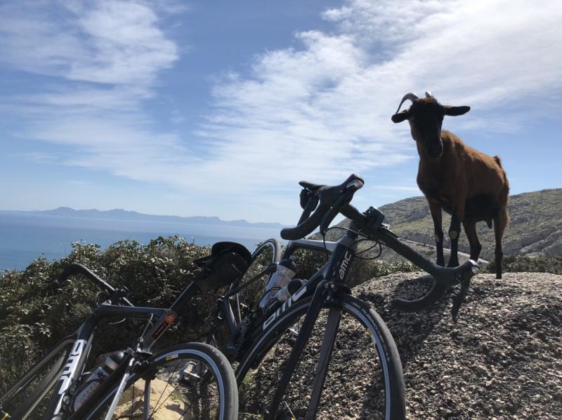 Mallorca - CLASSIC - 15.3. - 25.3. 2018