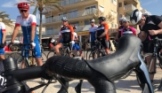 Mallorca - BIKE HOLIDAYS 23 - 30.4. 2018